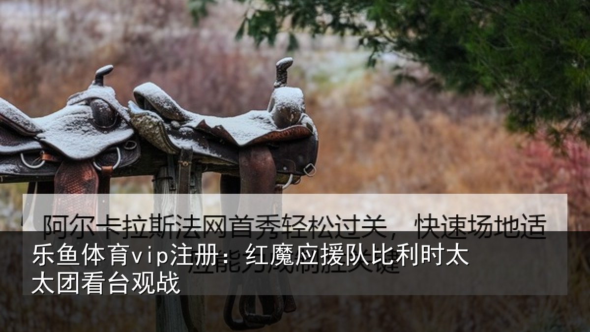 乐鱼体育vip注册:红魔应援队比利相关情况